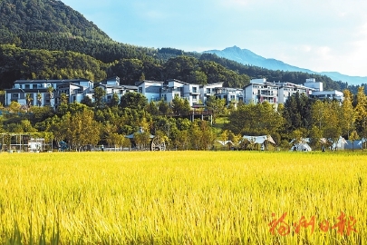 “家门口”微度假　乐享“诗与远方”