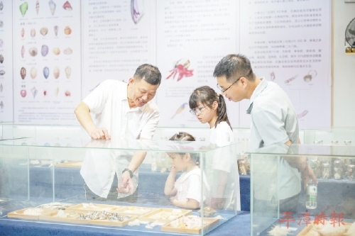 非遗传承绘就岚岛新画卷