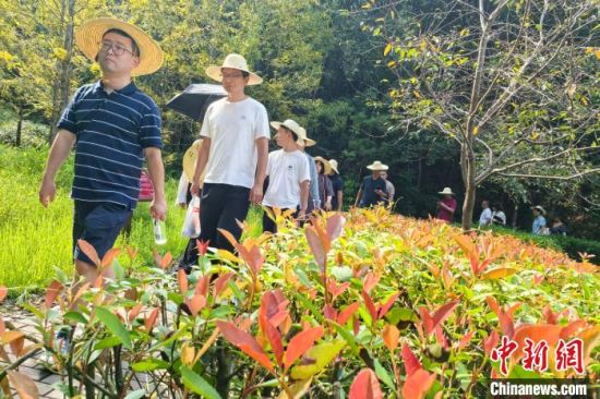 “而今迈步从头越——长征路上学党史”网上主题宣传福建线活动采访团成员走进汀江国家湿地公园，感受长汀生态治理成果。中新网记者 张金川 摄
