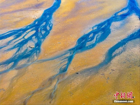 近日，福建宁德，在霞浦县三沙镇小皓沙滩，阳光下的滩涂色彩斑斓，游客和渔民们在这天然的调色板上赶海，绘就一幅人与自然和谐共生的壮丽画卷。