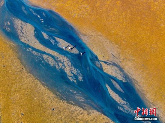 近日，福建宁德，在霞浦县三沙镇小皓沙滩，阳光下的滩涂色彩斑斓，游客和渔民们在这天然的调色板上赶海，绘就一幅人与自然和谐共生的壮丽画卷。