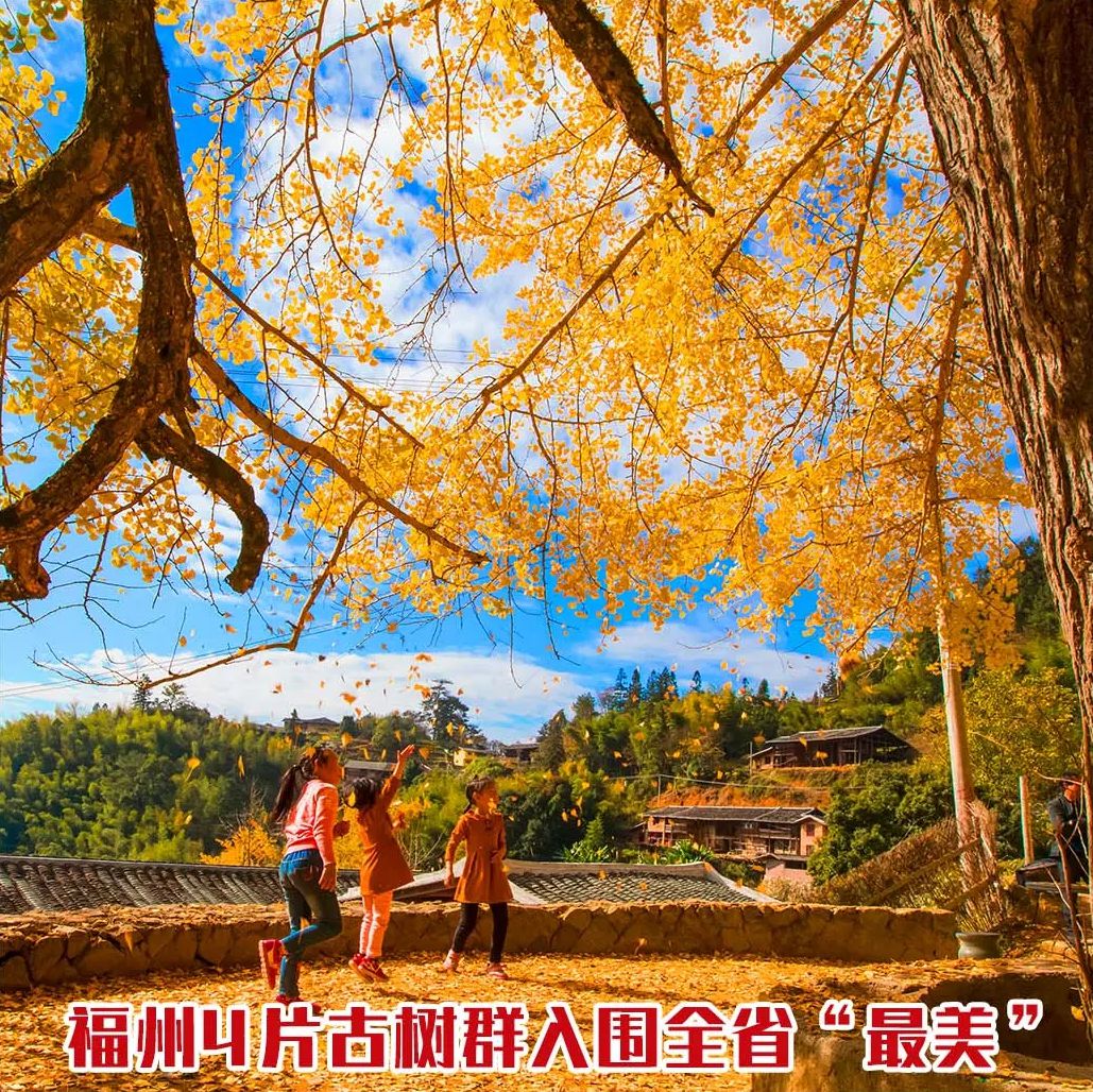 全省“最美”!福州这些地方入选! 全省“最美”!福州这些地方入选!
