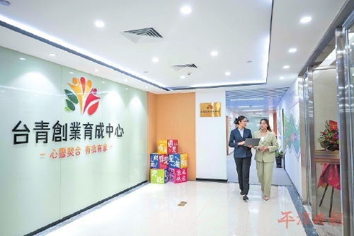 栽好梧桐树　引凤来栖共逐梦