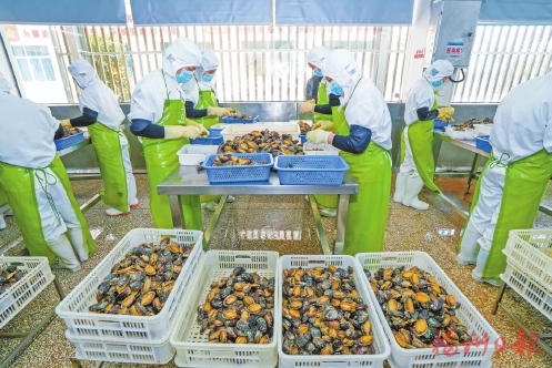 践行大食物观　托起“舌尖幸福”