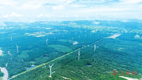 绿动未来　风力发电筑就“零碳”梦想