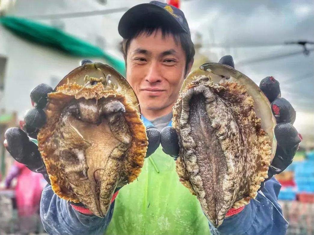火出圈!福州第一粒鲍鱼来自这里! 火出圈!福州第一粒鲍鱼来自这里!