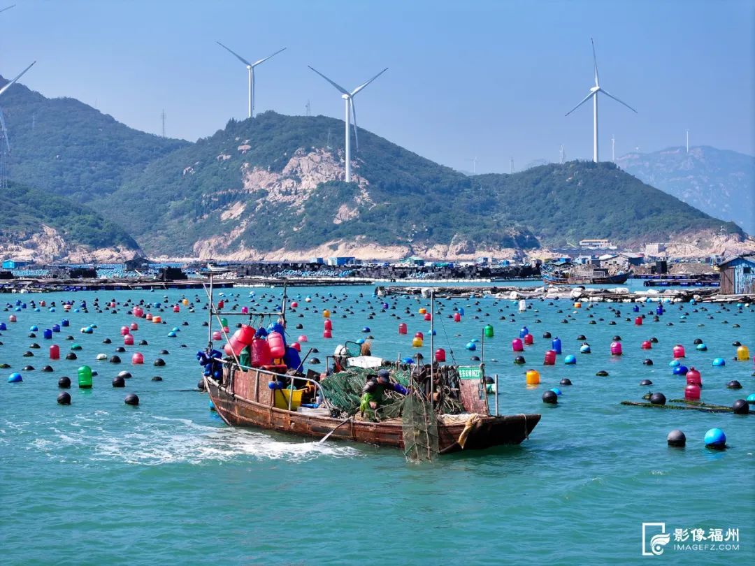 火出圈!福州第一粒鲍鱼来自这里! 火出圈!福州第一粒鲍鱼来自这里!