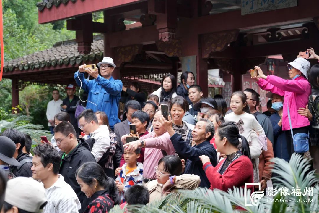 “花神”巡游 扮靓西湖! “花神”巡游 扮靓西湖!