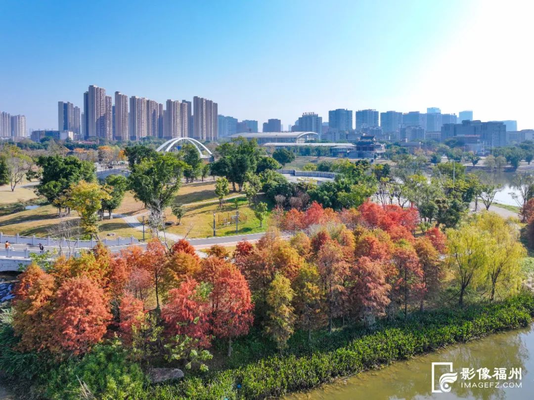 新年,到福州开启赏花之旅! 新年,到福州开启赏花之旅!