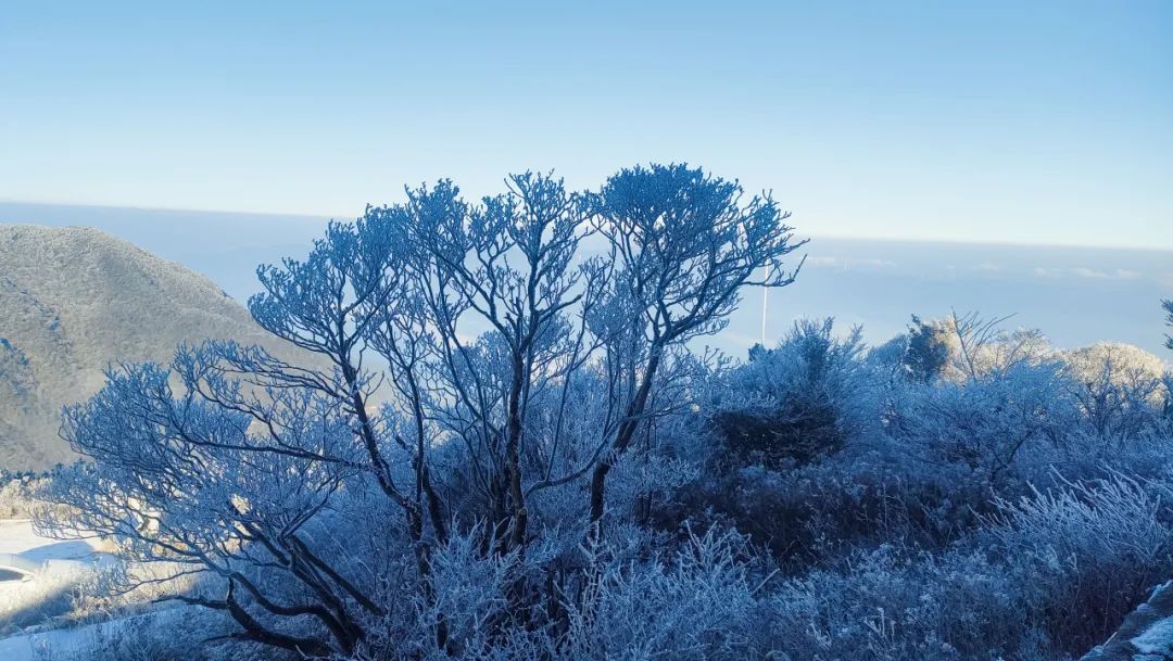福建多地降雪如期而至！快来看雪