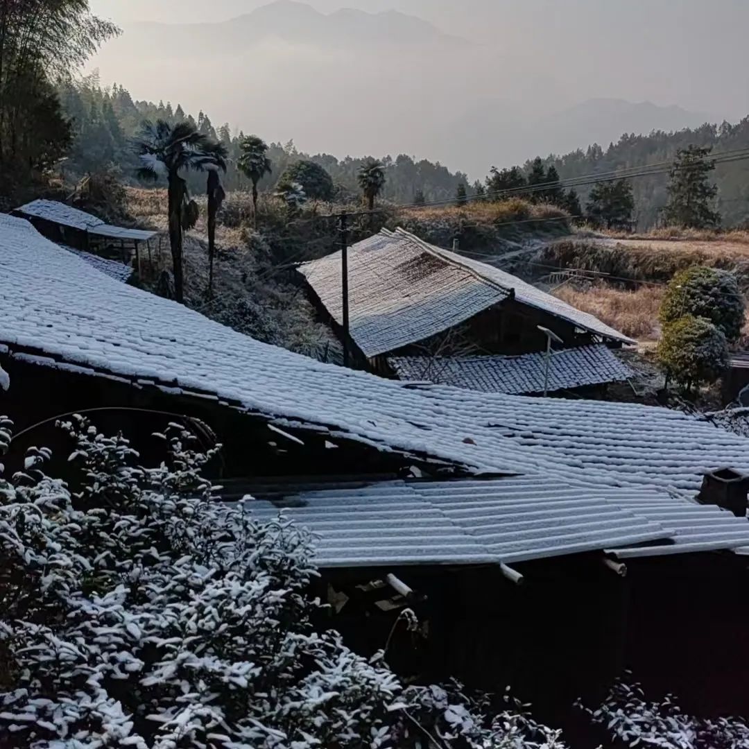 福建多地降雪如期而至！快来看雪