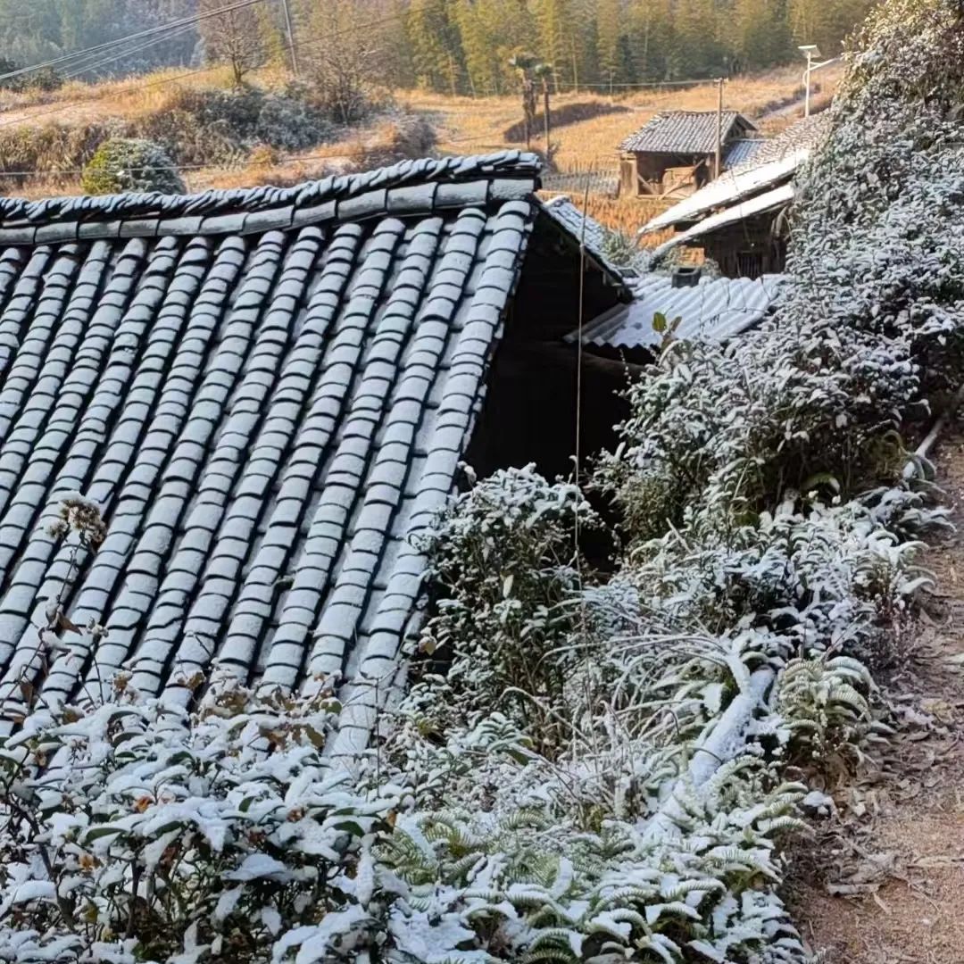 福建多地降雪如期而至！快来看雪