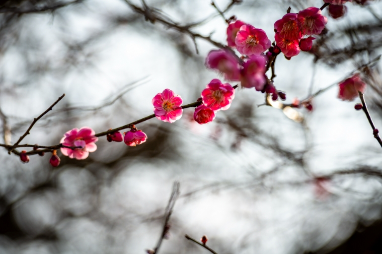 67a2d21f192a2.png