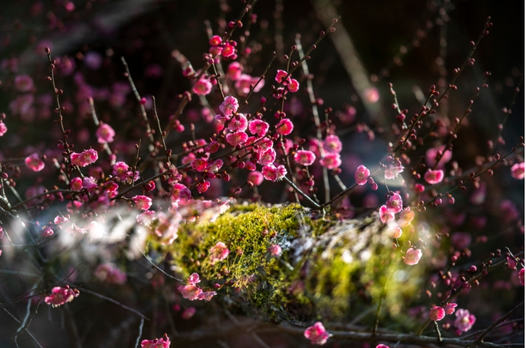 67a2d22d68587.png