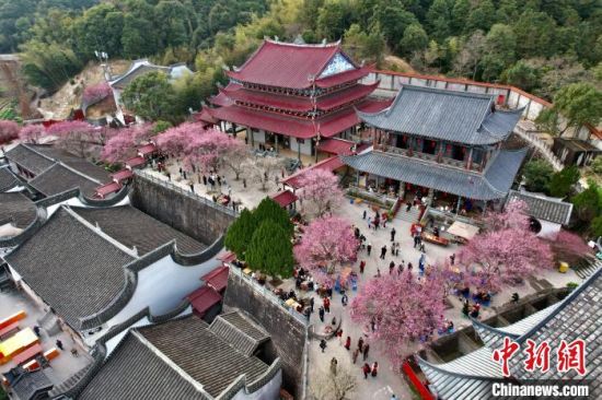 2月5日，福建福州，游客到千年古刹林阳寺赏梅。（无人机照片）中新社记者 王东明 摄