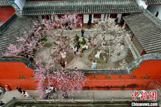 2月5日，福建福州，游客到千年古刹林阳寺赏梅。(无人机照片)中新社记者 王东明 摄
