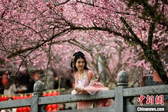2月5日，福建福州，身着古装的游客在林阳寺梅花丛中留影。中新社记者 王东明 摄