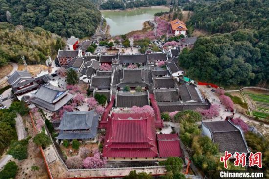 2月5日，福建福州，空中俯瞰梅花环绕的林阳寺。(无人机照片)中新社记者 王东明 摄