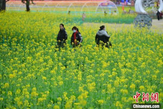 2月18日，游客在福州花海公园游览、赏花。中新社记者 吕明 摄