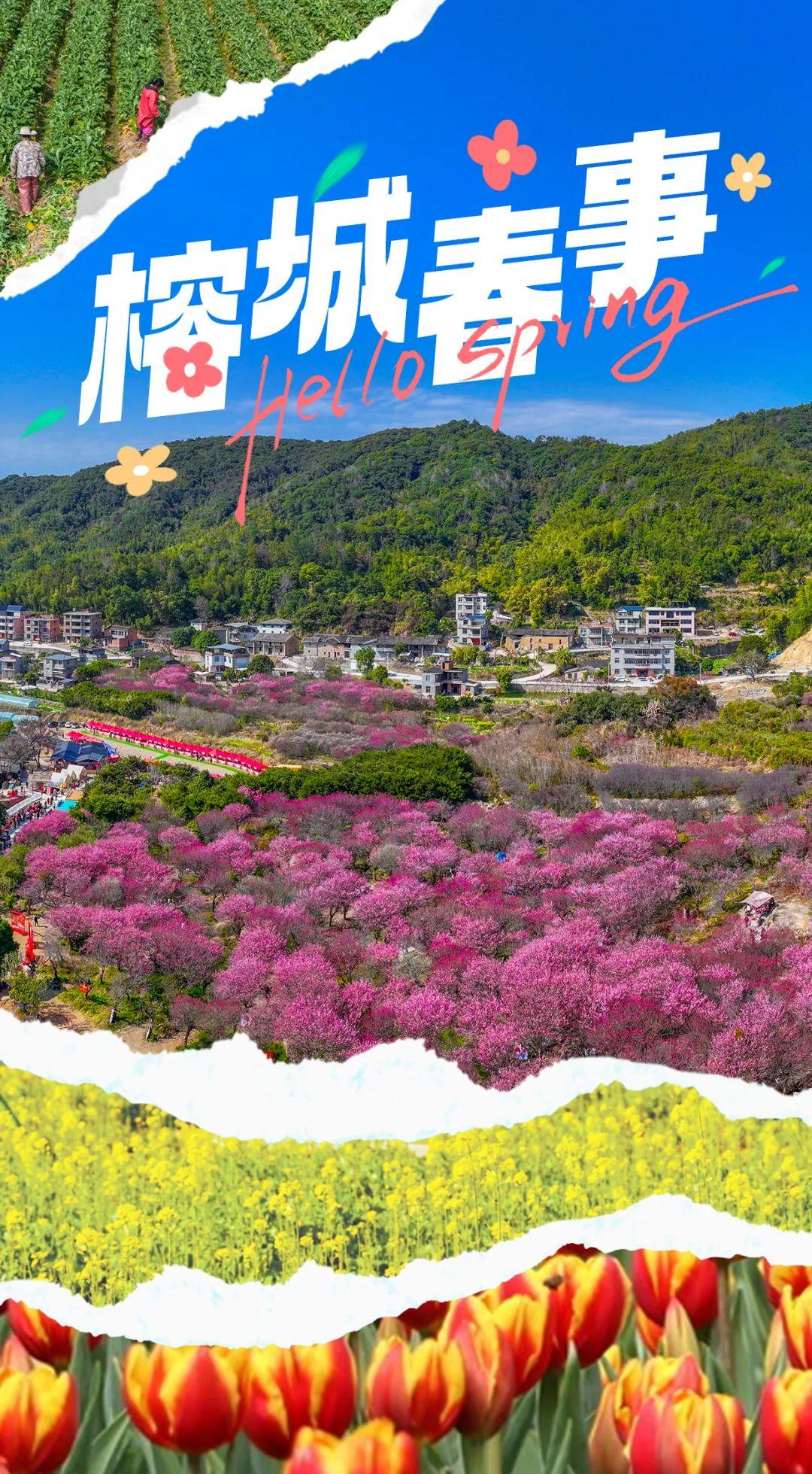游春赏春吃春……快来邂逅榕城“春事”！
