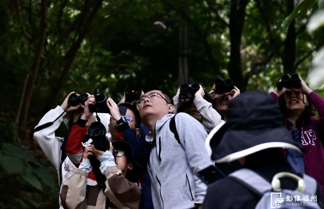 游春赏春吃春……快来邂逅榕城“春事”！