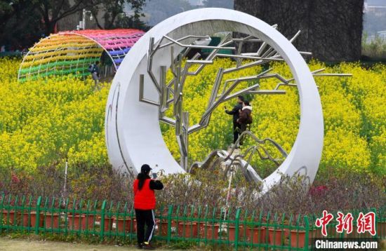2月26日，福建福州，民众在闽江畔花海公园观赏盛开的油菜花。中新社记者 王东明 摄