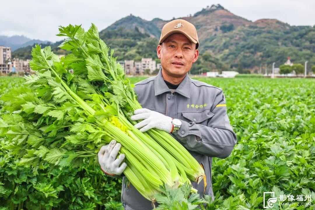 亮相央视！福州大量上市！