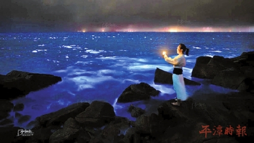 平潭蓝眼泪季来了