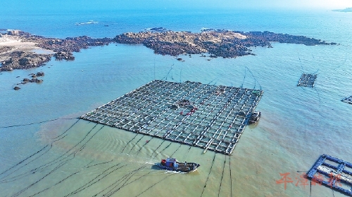 科技赋能，绘就海上新丰景