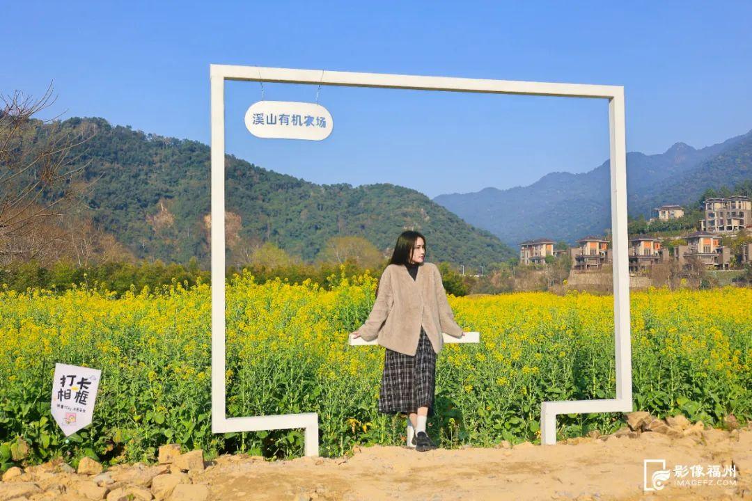 乘游船赏花！解锁游玩新体验！