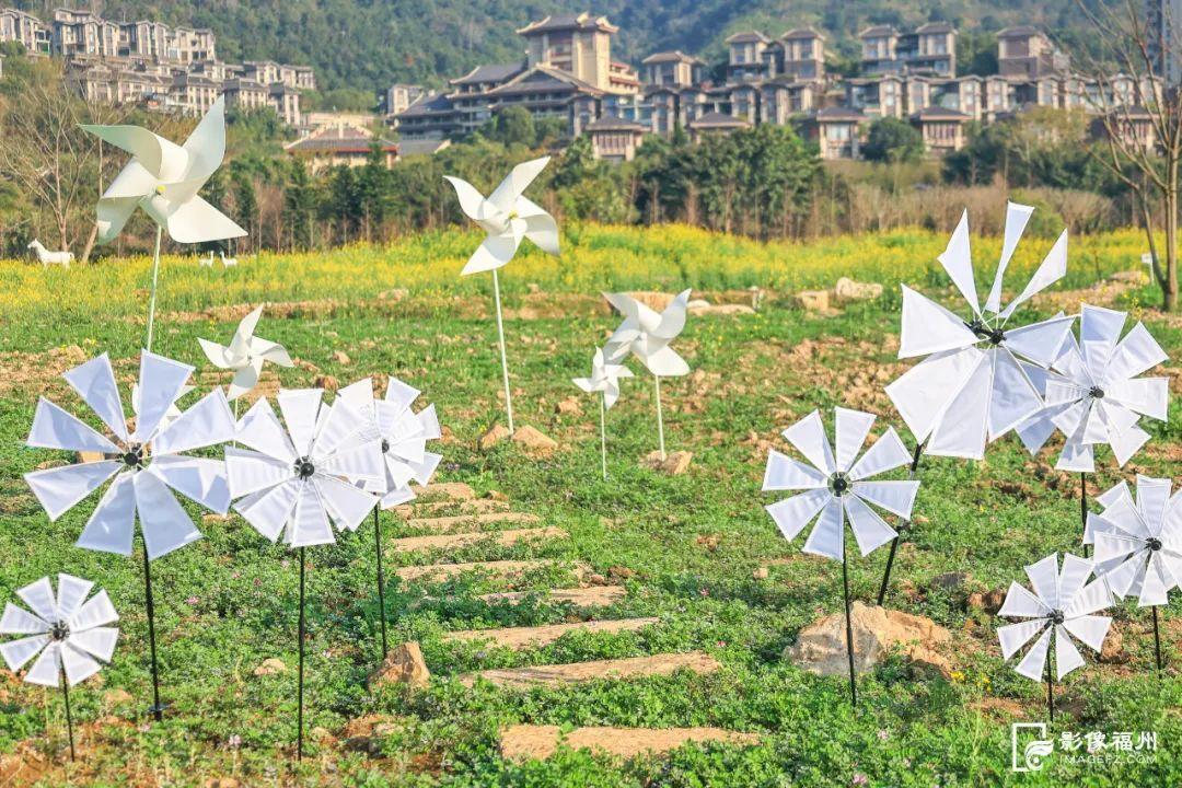 乘游船赏花！解锁游玩新体验！