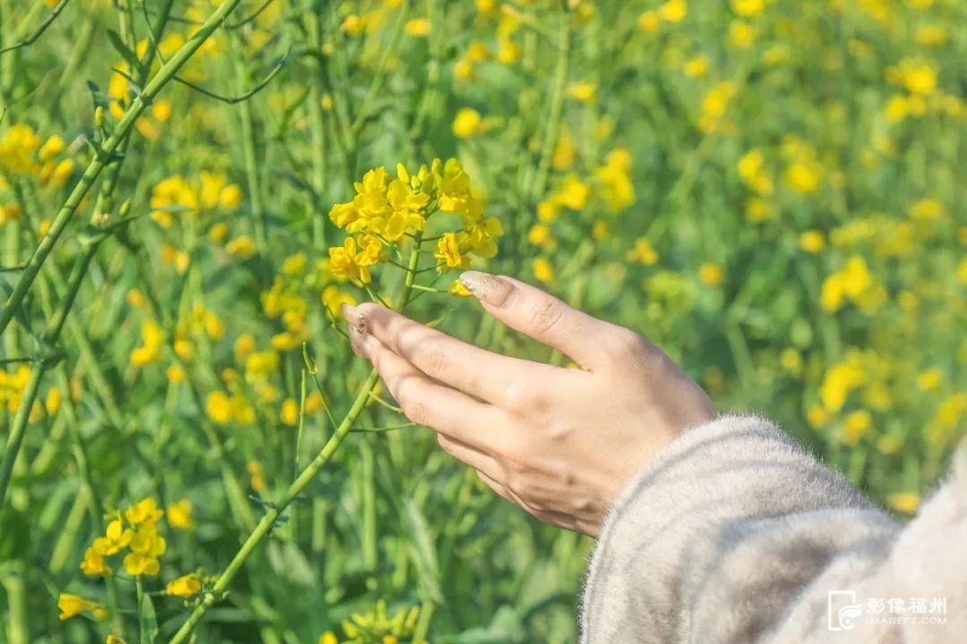 乘游船赏花！解锁游玩新体验！