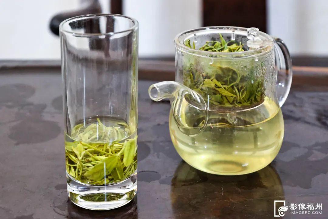 “云上茶乡”！采摘春的味道！