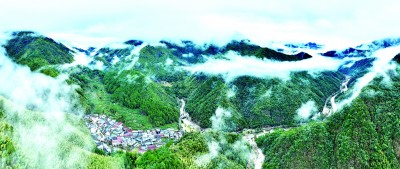 茶山上，一场生态变革悄然展开
