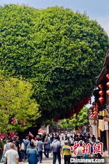4月10日，游客在福州南后街游玩。中新社记者 王东明 摄 