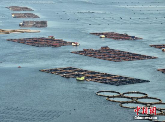 5月2日，福建福州福清市沙埔镇养殖海域，养殖网箱漂浮在海面上，海上风车依次排开，蔚为壮观。（无人机照片）中新社记者 张斌 摄