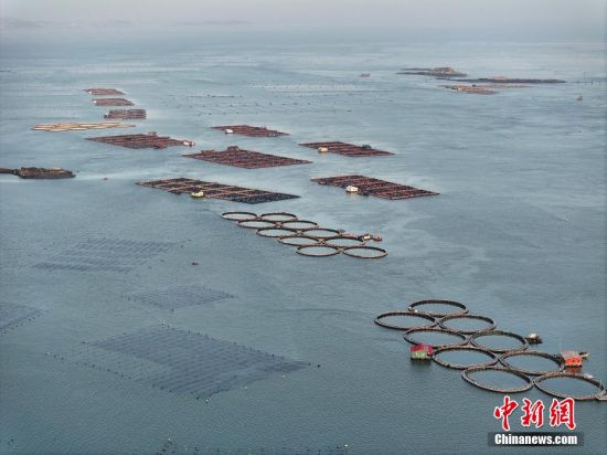 5月2日，福建福州福清市沙埔镇养殖海域，养殖网箱漂浮在海面上，海上风车依次排开，蔚为壮观。（无人机照片）中新社记者 张斌 摄