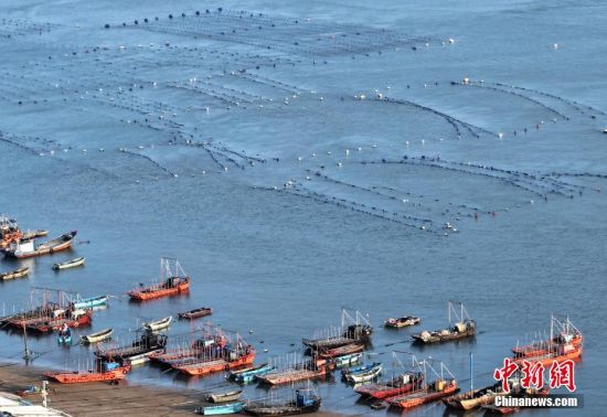 5月2日，福建福州福清市沙埔镇养殖海域，养殖网箱漂浮在海面上，海上风车依次排开，蔚为壮观。（无人机照片）中新社记者 张斌 摄