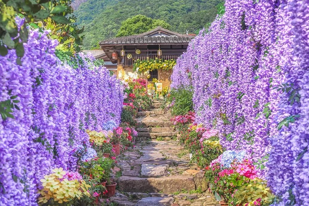 出圈！福州这里“花”样缤纷！