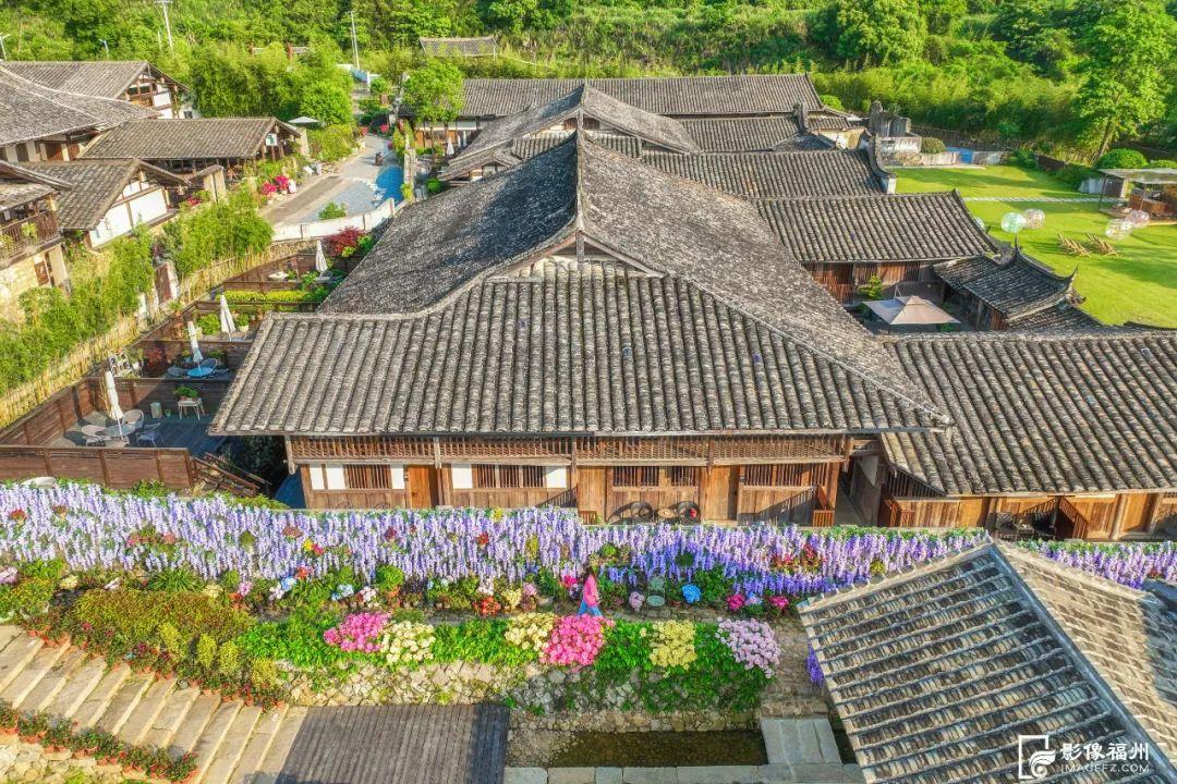 出圈！福州这里“花”样缤纷！