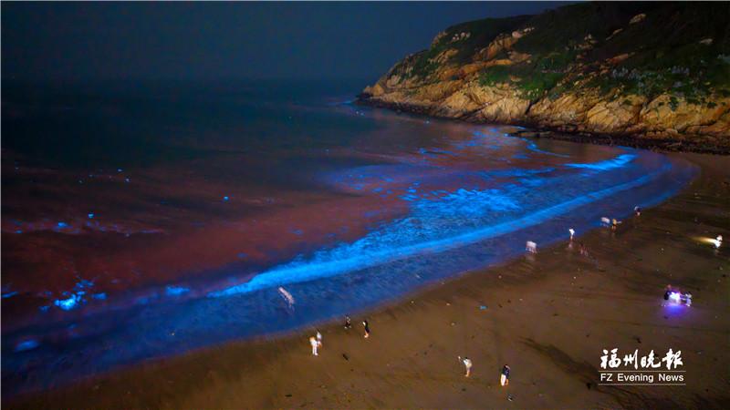 梦幻蓝眼泪 浪漫“福马情”