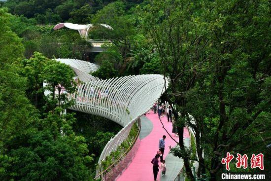5月11日，正在试运营中的福州三江口植物园(一期)吸引许多市民前来参观游玩。中新社记者 张斌 摄