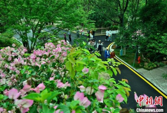 5月11日，正在试运营中的福州三江口植物园(一期)吸引许多市民前来参观游玩。中新社记者 张斌 摄