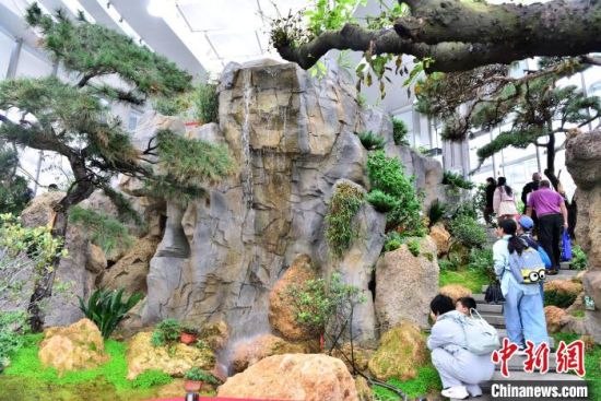 图为植物园内展示的各种植物吸引参观者。中新社记者 张斌 摄