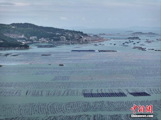 5月27日，航拍福建省连江县定海湾海域的海洋牧场。（无人机照片）中新社记者 张斌 摄