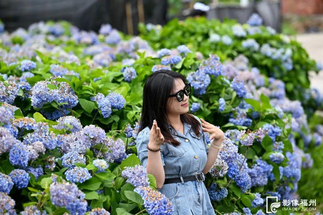 来福州，赴一场盛夏花事！