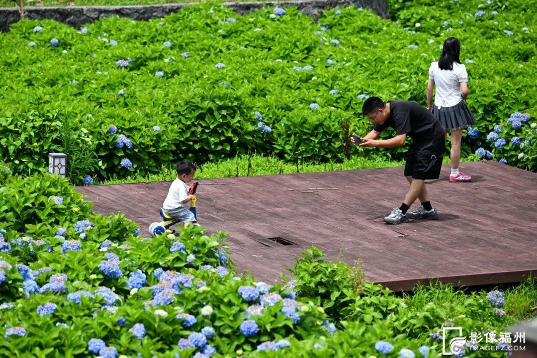 来福州，赴一场盛夏花事！