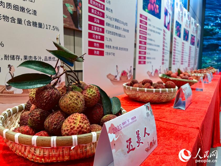 此次活动展出漳州30余种晚熟荔枝优新品种。人民网 苏海森摄