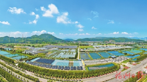 福州农业农村“半年报”出炉