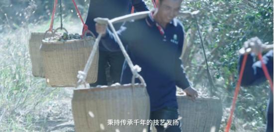 02图片1.jpg